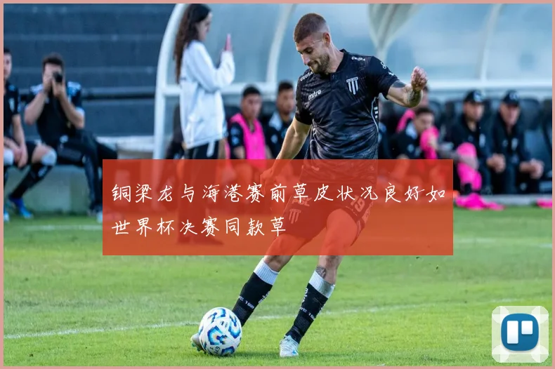 铜梁龙与海港赛前草皮状况良好如世界杯决赛同款草