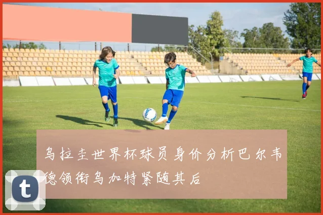 乌拉圭世界杯球员身价分析巴尔韦德领衔乌加特紧随其后