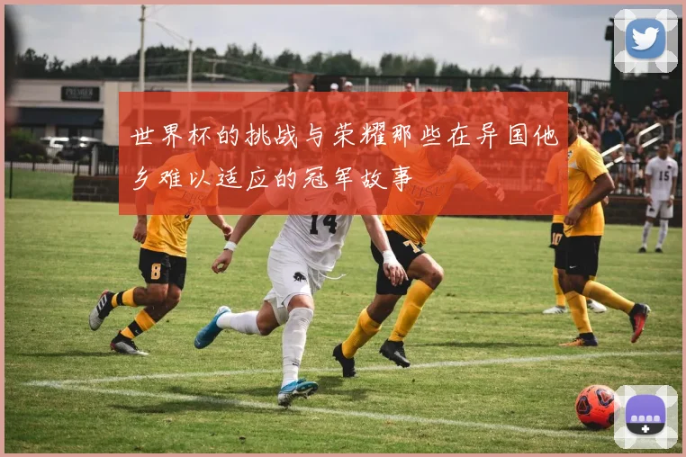 世界杯的挑战与荣耀那些在异国他乡难以适应的冠军故事