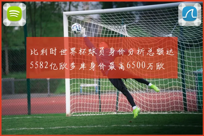 比利时世界杯球员身价分析总额达5582亿欧多库身价最高6500万欧
